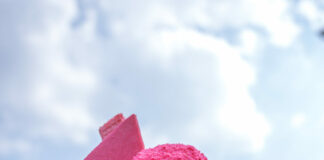 CNE Launches 2023 Secret Menu, presented by Invisalignâ; and Food Truck Frenzy has Begun with More & New Food Offerings