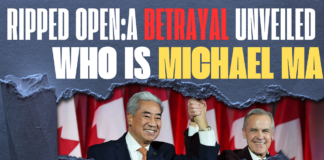 Statement of Condemnation by the Alliance of Chinese Conservatives (AOCC)