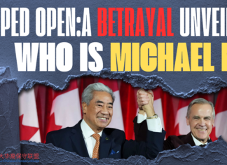 Statement of Condemnation by the Alliance of Chinese Conservatives (AOCC)