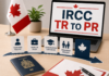 Federal Government Plans New TR to PR Pathway: Toronto Temporary Residents Should Still Focus on Existing Options in the Short Term