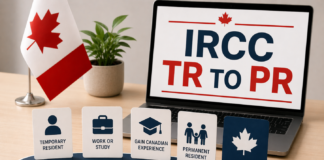 Federal Government Plans New TR to PR Pathway: Toronto Temporary Residents Should Still Focus on Existing Options in the Short Term