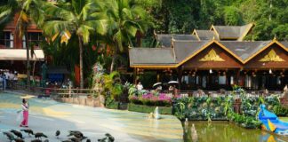 “Colorful Yunnan · Recommended by Overseas Media” Global Alliance of Chinese-Language Media China Tour Visits Xishuangbanna