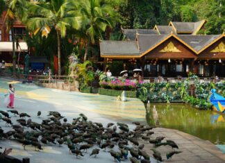 “Colorful Yunnan · Recommended by Overseas Media” Global Alliance of Chinese-Language Media China Tour Visits Xishuangbanna