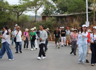 Overseas Chinese-Language Media Visit Laozhuaqing in Pu’er and Witness the Transformation of a “Hollow Village” Into a New Long-Stay Community