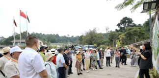 Step Into Pu’er’s Youfeng Coffee Valley and Experience a Slow Countryside Life in the Aroma of Coffee
