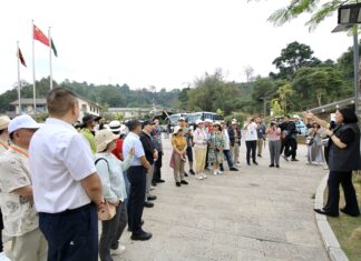 Step Into Pu’er’s Youfeng Coffee Valley and Experience a Slow Countryside Life in the Aroma of Coffee