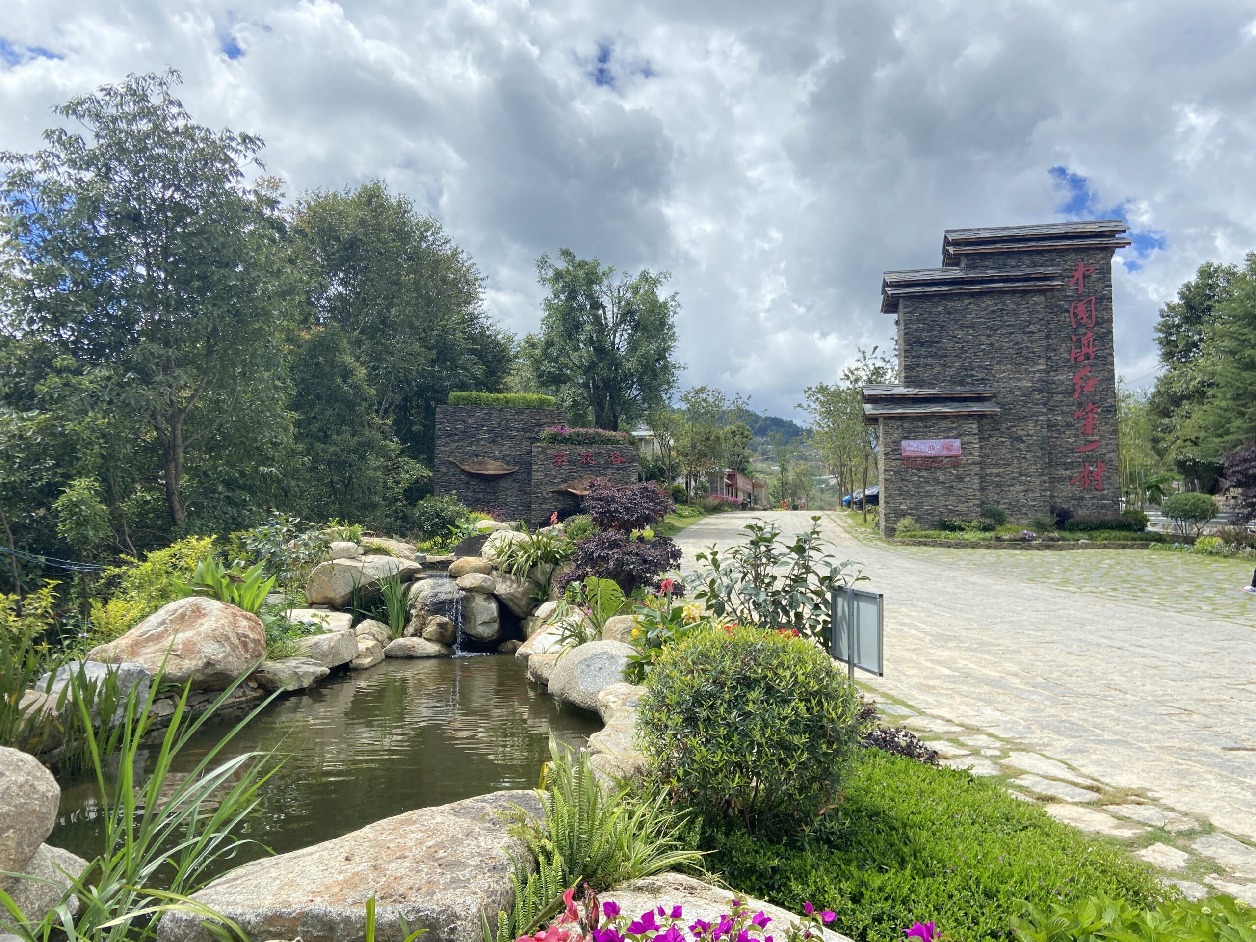 Living Among the Tea Mountains: Fengqing Uses Tea-Tourism Integration to Build a New Picture of Rural Revitalization