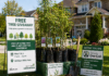 Free Tree Giveaways in Markham and Mississauga Enter Registration Period: Chinese Homeowners Should Check Eligibility and Underground Utility Rules Before Planting