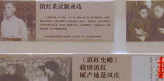 From “Wartime Tea” to a New Tea Drink Supply Chain: The Industrial Evolution of Fengqing Dianhong