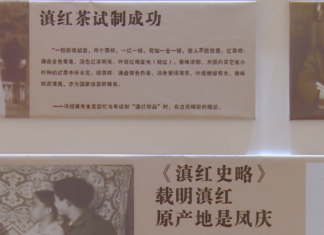 From “Wartime Tea” to a New Tea Drink Supply Chain: The Industrial Evolution of Fengqing Dianhong
