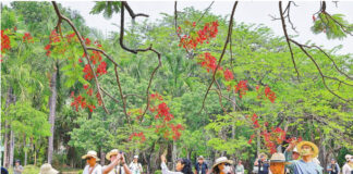 Chinese-Language Media Delegation Visits Xishuangbanna to Experience Tropical Rainforest Ecology and Green Development in Practice