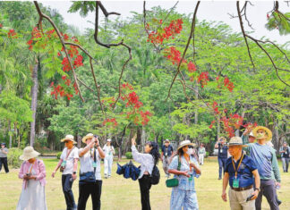 Chinese-Language Media Delegation Visits Xishuangbanna to Experience Tropical Rainforest Ecology and Green Development in Practice