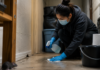 Peel Region Monitoring Hantavirus Contact: Residents Should Know Safe Cleanup Steps Before Handling Rodent Infestations