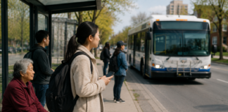 York Region Seeks Public Input on 2027 Transit Routes: Chinese Commuters Can Report Issues With Frequency, Connections, and Stops
