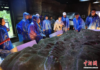 Overseas Chinese-Language Media Explore Jianmen Pass and the Millennia-Old Legacy of the Ancient Shu Roads