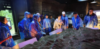 Overseas Chinese-Language Media Explore Jianmen Pass and the Millennia-Old Legacy of the Ancient Shu Roads
