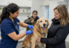 Vaughan Pet Microchip and Rabies Clinic Set for June 21