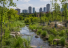 Mississauga Restores Cooksville Forests to Reduce Flood Risk