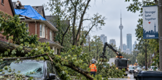 Nearly Two Weeks After September Storm, GTA Residents Still Waiting on Insurance Claims