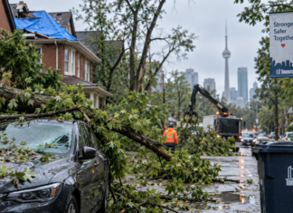 Nearly Two Weeks After September Storm, GTA Residents Still Waiting on Insurance Claims