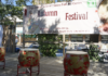 Toronto Chinese Folk Art Centre Holds Autumn Festival with Community Arts Groups