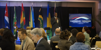 Caribbean-Canada Investment Summit Held in Toronto, Focusing on Cross-Border Trade and Investment Cooperation