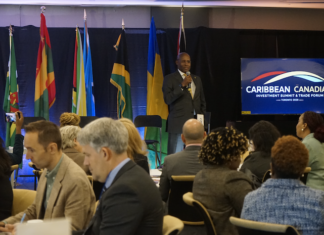 Caribbean-Canada Investment Summit Held in Toronto, Focusing on Cross-Border Trade and Investment Cooperation